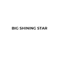 logo BIG SHINING STAR