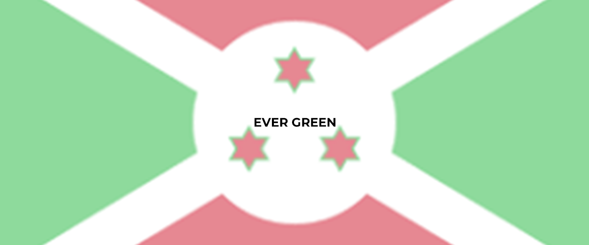 banner EVER GREEN