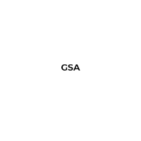 logo GSA