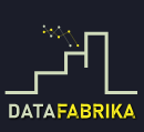 logo DATAFABRIKA