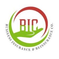 logo BIC