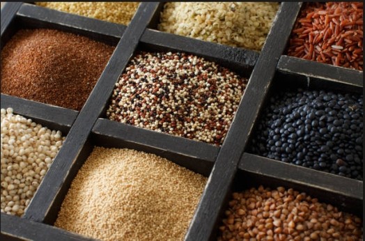 banner Additifs alimentaires pour animaux