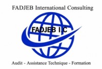 logo FaDJeB International Consulting