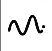 logo MAJESTIC Inc.