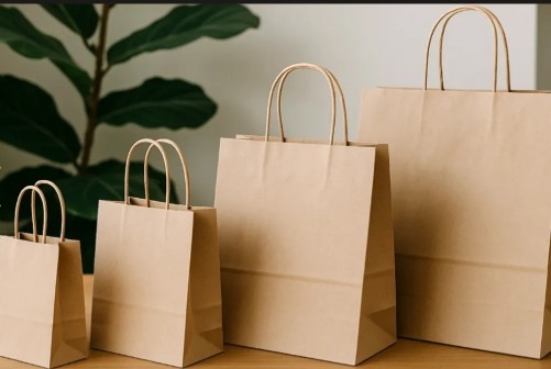 banner Sacs en papier kraft biod&eacute;gradables