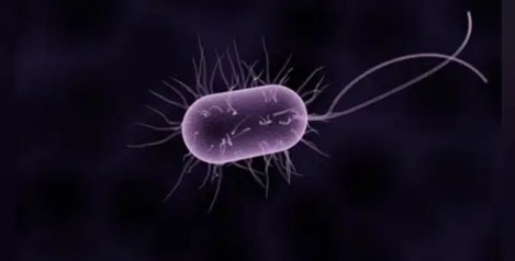 banner Diagnostic des infection