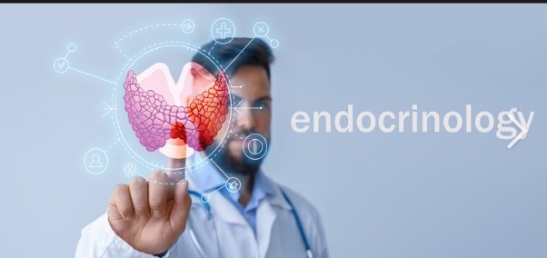 banner Endocrinologie (diab&egrave;te et hormones)