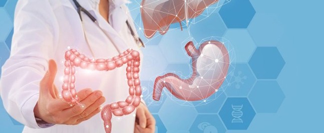 banner Chirurgie digestive