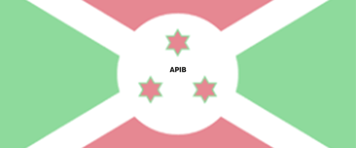 banner APIB