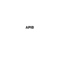 logo APIB