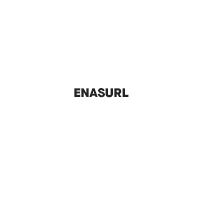 logo ENASURL