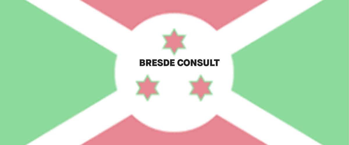 banner BRESDE CONSULT