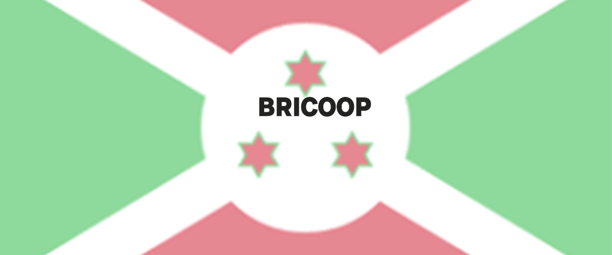 banner BRICOOP