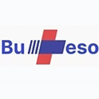 logo BUMESO