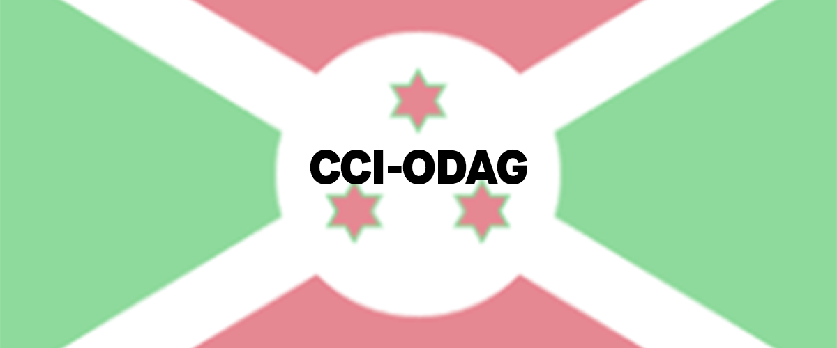 banner CCI-ODAG