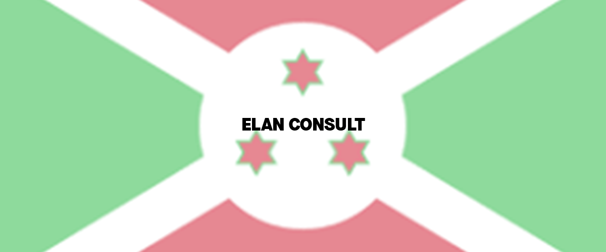 banner ELAN CONSULT