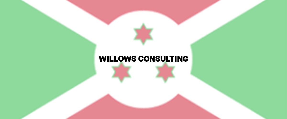 banner WILLOWS CONSULTING