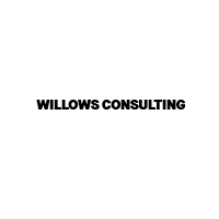 logo WILLOWS CONSULTING