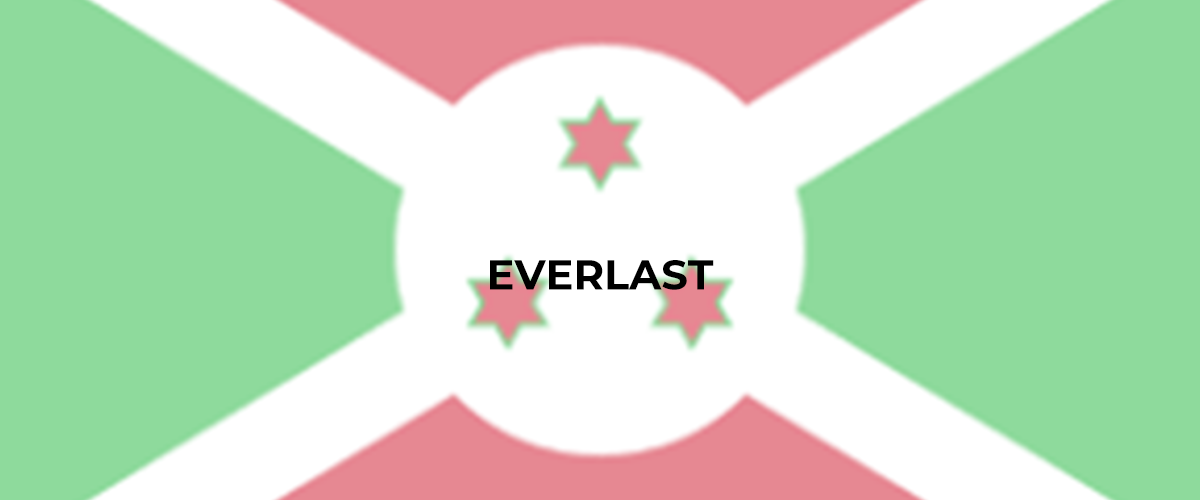 banner EVERLAST