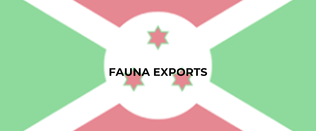 banner FAUNA EXPORTS