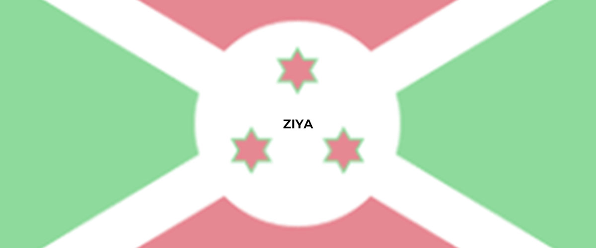 banner ZIYA