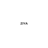 logo ZIYA